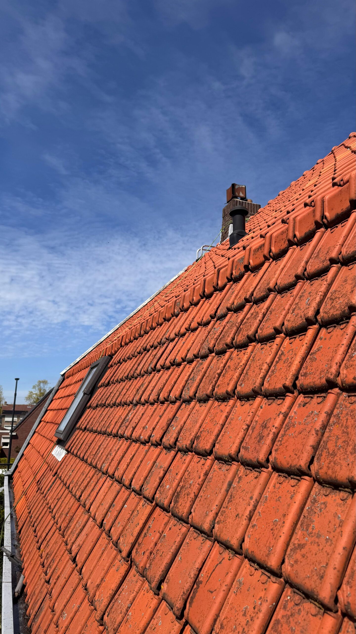 Vervuild pannendak met mos en groene aanslag vóór reiniging en coating